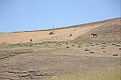 Kurdish village